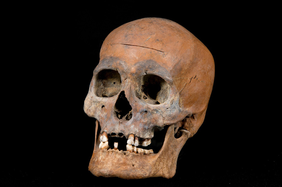 青谷上寺地遺跡で出土した頭蓋骨をもとに復元