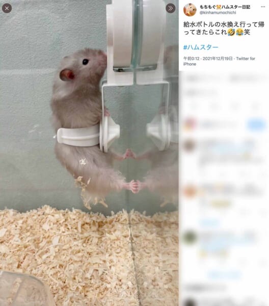 空中のボトルホルダーにハマったもぐたんちゃん