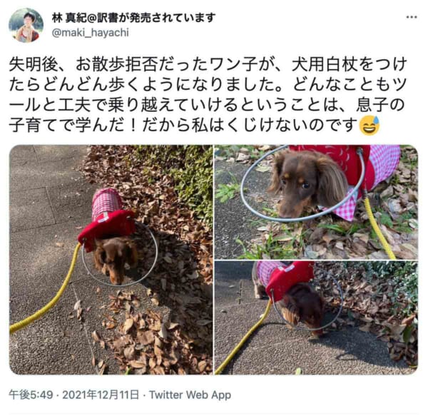 白状をつけたたまみちゃんのツイート