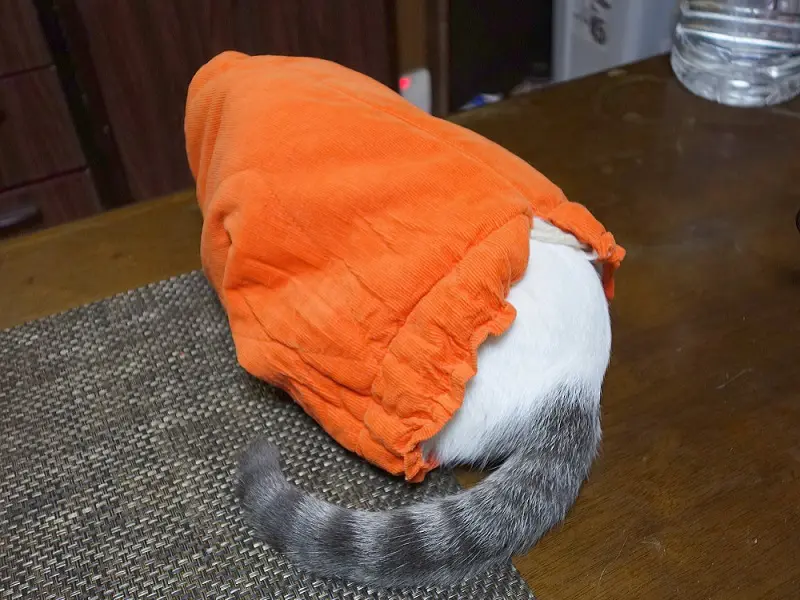 湯たんぽカバーが盛り上がっていてビックリ！