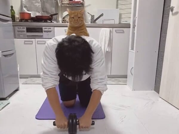 名コーチ誕生？腹筋ローラー中の飼い主の背中に飛び乗る猫