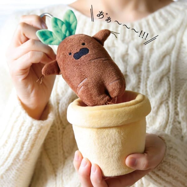 中からはかわいいマンドラゴラが登場