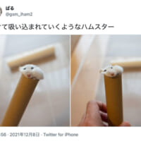 溶けたアイスのように紙筒に吸い込まれるぱるちゃん（スクリーンショット）