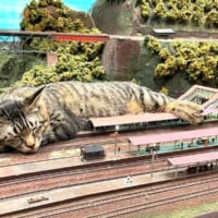 鉄道模型ジオラマに寝そべる「巨大猫」（ジオラマ食堂officialさん提供）