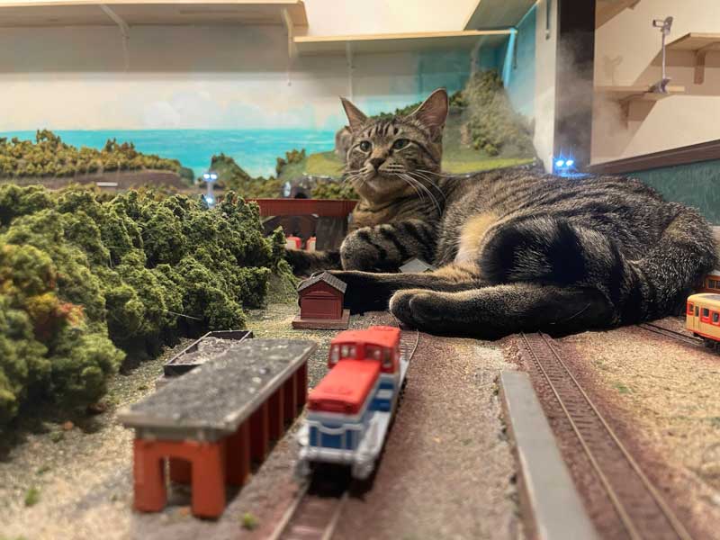 ディーゼル機関車と猫さん（ジオラマ食堂officialさん提供）