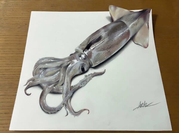 立体にしか見えない？イカのトリックアート（ARIAさん提供）