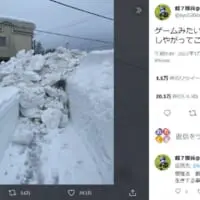 「この道は通れないみたいだ」テロップが入っても違和感のないシーン