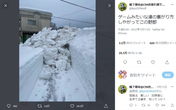 「この道は通れないみたいだ」テロップが入っても違和感のないシーン