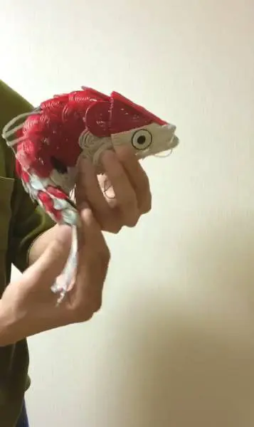 動く針金アート まるで生きているかのような鯉の姿に驚嘆