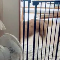 スッとその場を立ち去る北斎くん