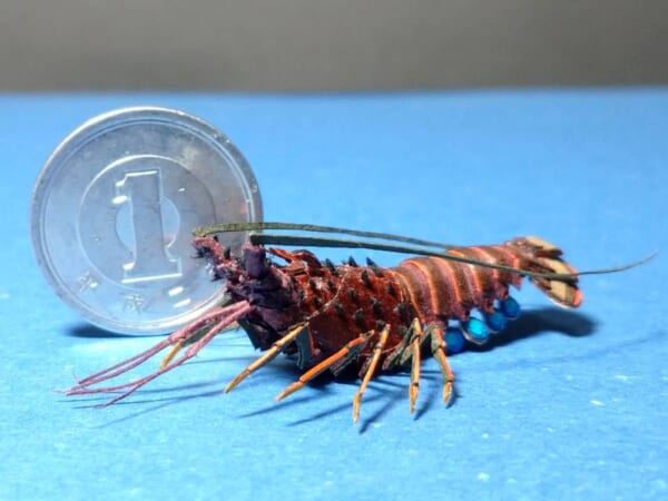 紙で出来た超ミニサイズの伊勢海老　まさに紙（神）レベルの出来栄え