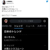 画像は小湊美和さん公式Twitterのスクリーンショットです