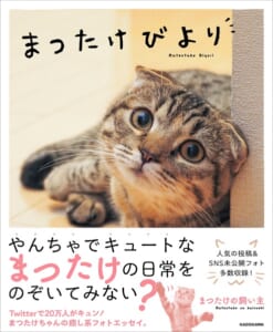 人気猫まつたけちゃんのフォトエッセイが発売　未公開写真も多数収録