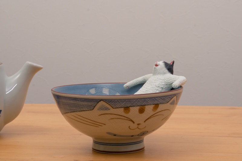 茶碗風呂を満喫する猫