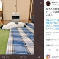 ストーブの前でとろけるめるくん