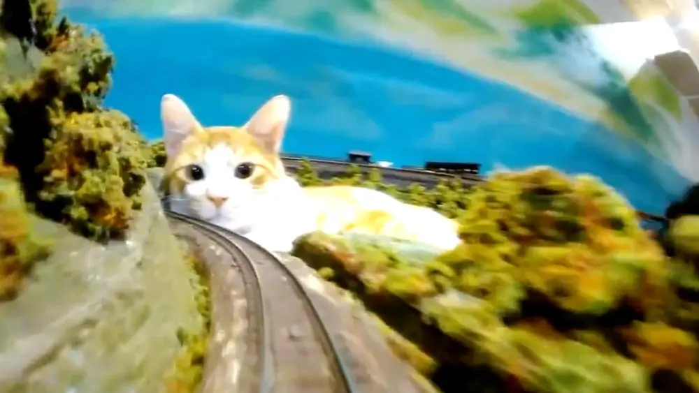 ジオラマと猫さん（ジオラマ食堂さん提供）