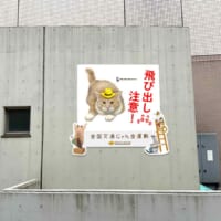 イエローハット「猫飛び出しサイン」