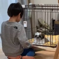 これは尊い……怒られたワンちゃんに本を読み聞かせるお兄ちゃん