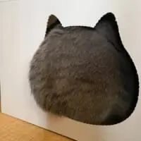 「ぴったりフィットニャ」猫ハウスの窓からはみ出たお尻にププッ　
