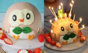 ポケモン「モクロー」の誕生日ケーキ　ろうそくを立てると衝撃の姿に