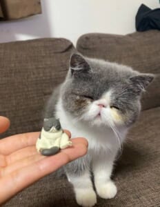 猫のフィギュアに瓜二つの猫ちゃん　仏のような笑顔に癒やされる