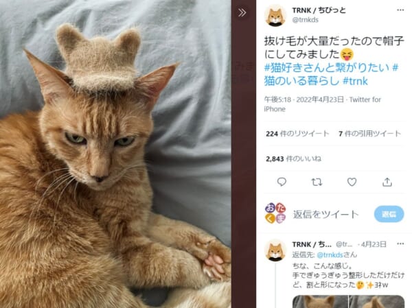ニャンというリメイク。　愛猫の抜け毛で帽子を作った飼い主。