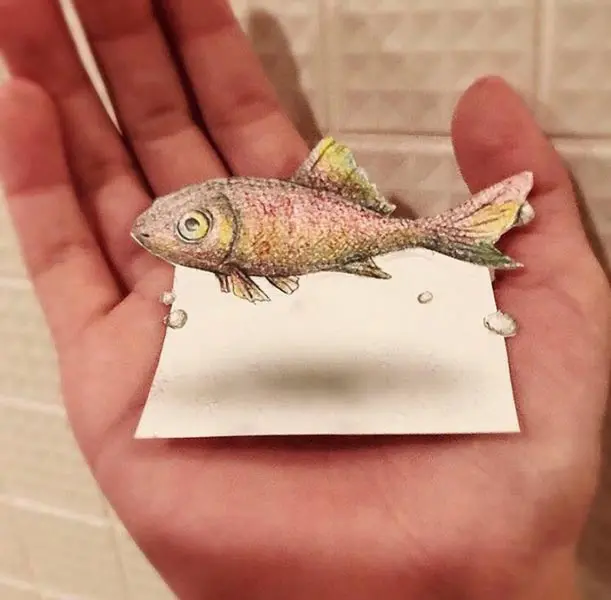 3d アート 魚 オファー