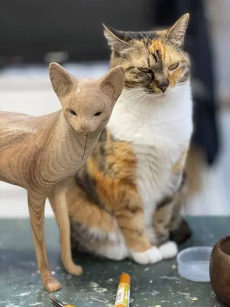 木彫りのスリムな猫をライバル視？モッシリ猫ちゃんも一緒にハイチーズ