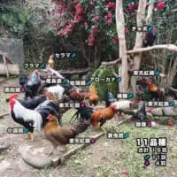 たくさんの種類に驚きますね