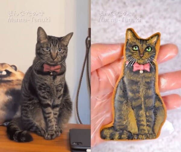 まるで写真みたい！本物そっくりの猫ちゃんを描いたアイシングクッキー