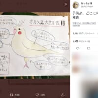 小学生の好奇心が生んだ「インコの部位毎の香りの違い」調査に関心の声