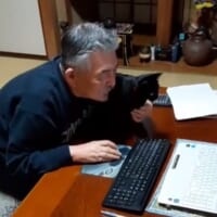 愛猫を信じて手を離し、パソコン作業を始めようとするお父様