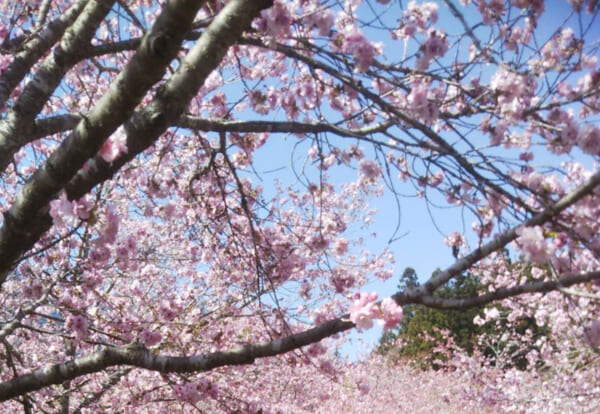 撮影：石川晶子