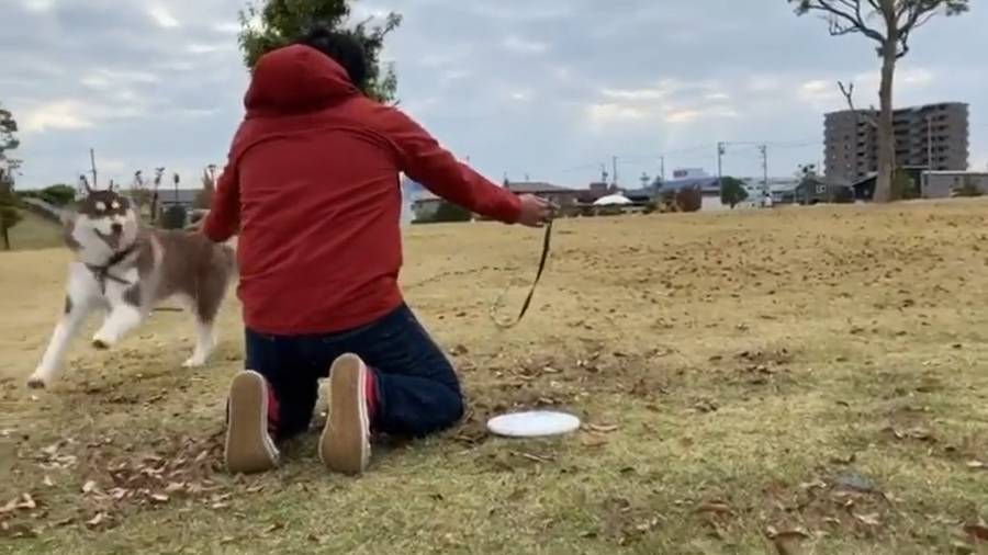 飼い主さんをちらっと横目に見るくーちゃん