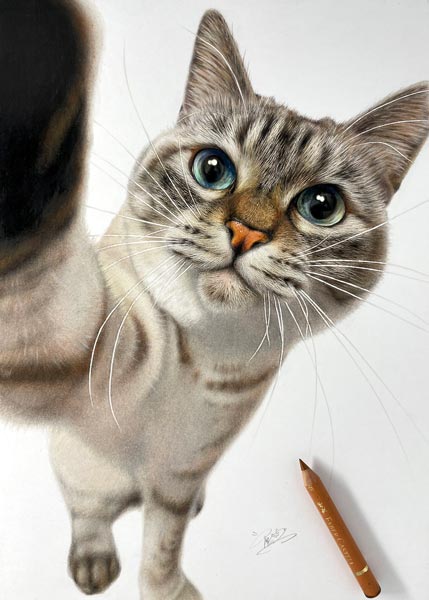 絵？えええ！色鉛筆で描かれた猫の精密さに驚愕　カメラの被写界深度や毛並みも丁寧に再現
