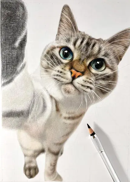 絵？えええ！色鉛筆で描かれた猫の精密さに驚愕 カメラの被写界深度や毛並みも丁寧に再現 | おたくま経済新聞