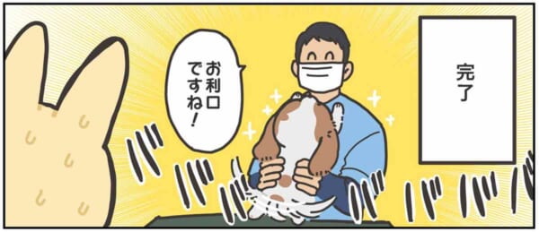 注射してくれた先生に甘えるヤシンさんのワンちゃん（ヤシンさん提供）