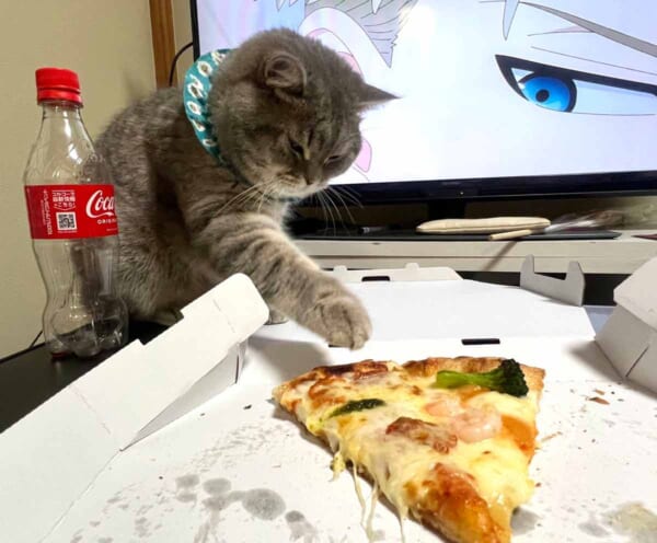 ピザに手を伸ばすいわしくん（いわし先生さん提供）