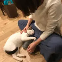 お迎え初日のつくねくん（つくね＆ひまりさん提供）