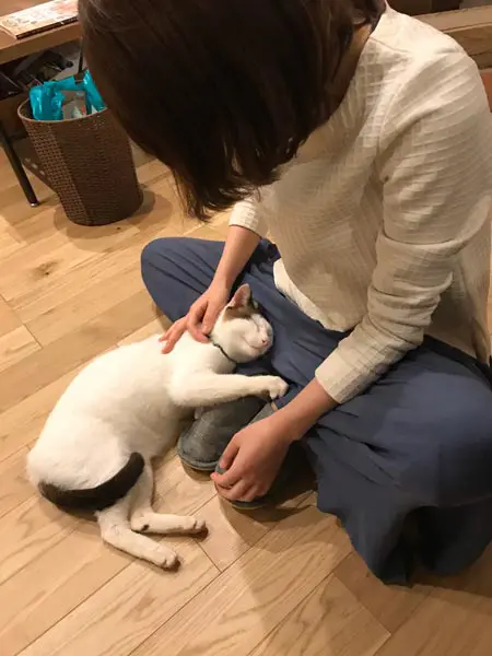 お迎え初日のつくねくん（つくね＆ひまりさん提供）