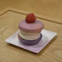 「NEONトゥンカロン」