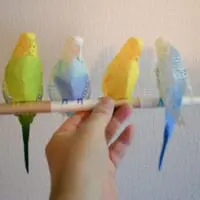完成（カミヤ・ハセさん提供）