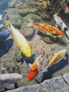 絵の中を優雅に泳ぐ鯉たち。色鉛筆画家・三賀亮介が伝える五感の色彩で伝える世界。