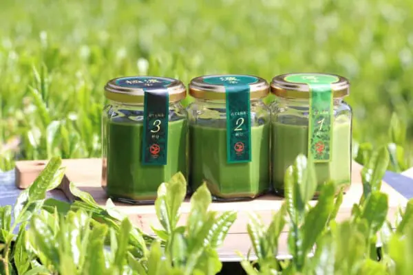 d:matchaの「点てる抹茶1・2・3杯分の濃度別抹茶プリン」