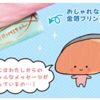 サンリオキャラクターズ夢の超BIGふかふかぬいぐるみクッション　タグ