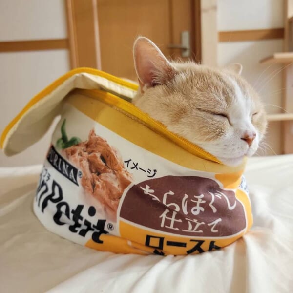 これが本当の猫缶？収納ボックスの中で気持ちよさそうに眠る猫ちゃん