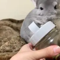 ビンのフタ開けにチャレンジ（金太郎の日常さん提供）