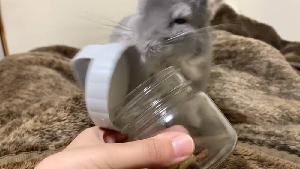 ビンのフタ開けに成功（金太郎の日常さん提供）