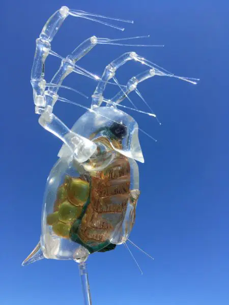 ワンダーフェスティバル用に制作した「ミジンコ」。