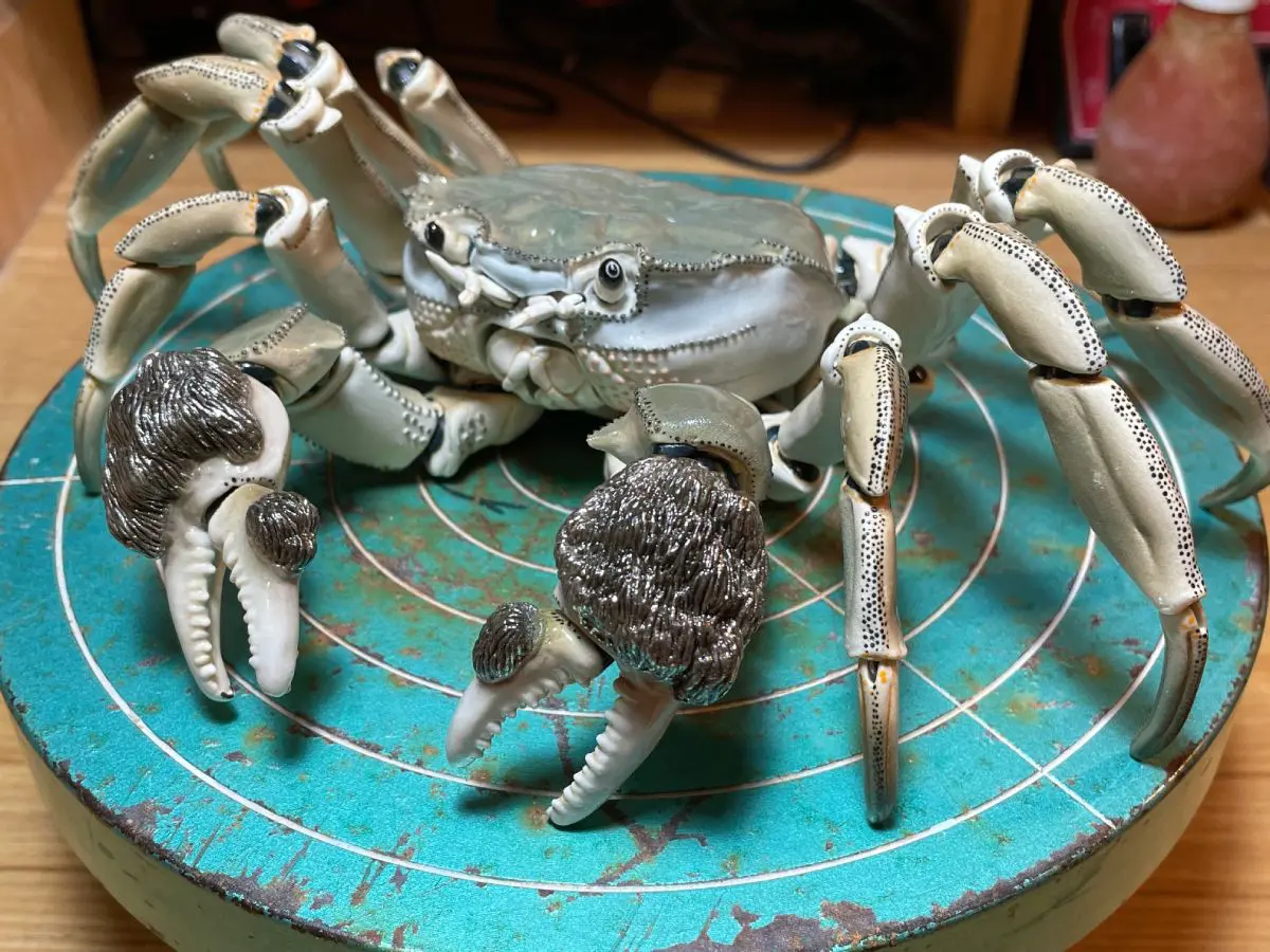 海洋生物をモチーフにする中で、最も多く採用した「蟹」。